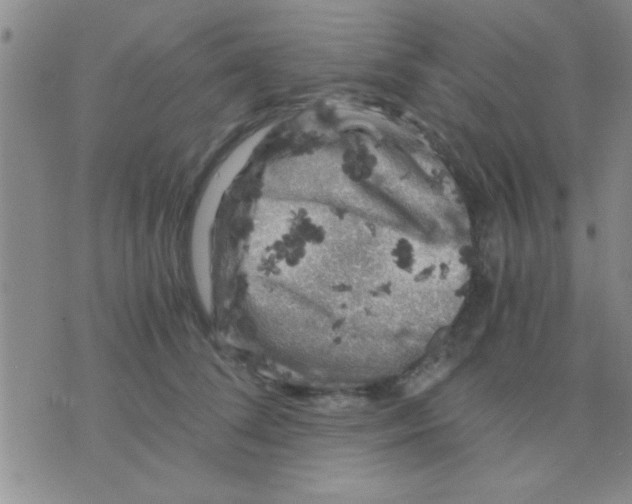 X0000075920708200610151906