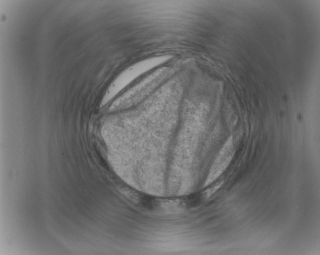 X0000075920709200610151906