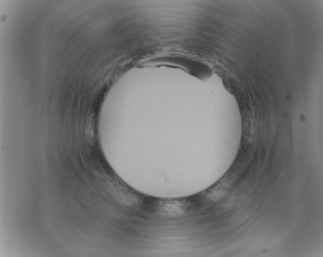 X0000075920710200610151906