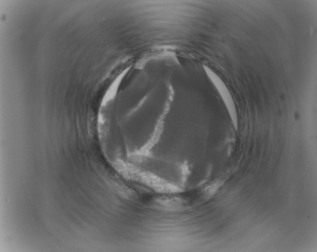 X0000075920712200610151906