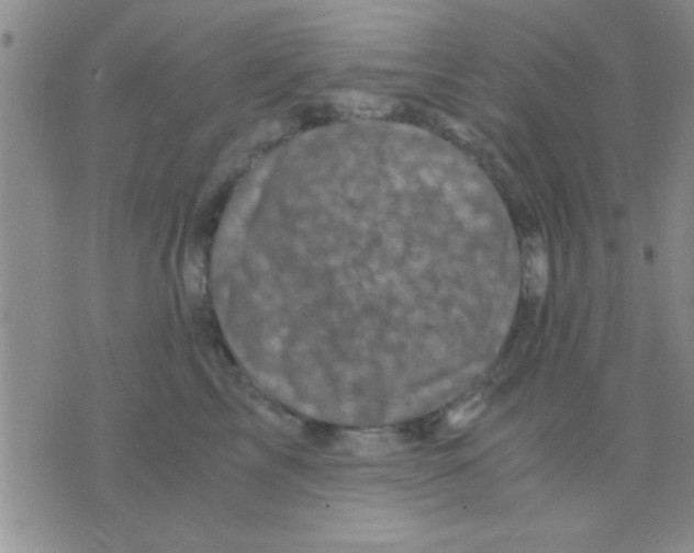 X0000075920713200610151906