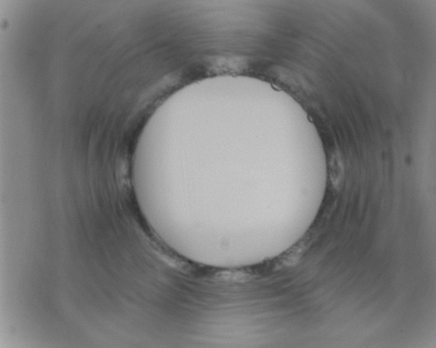 X0000075920714200610151906