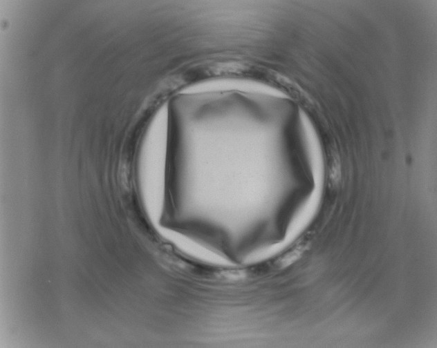 X0000075920715200610151906