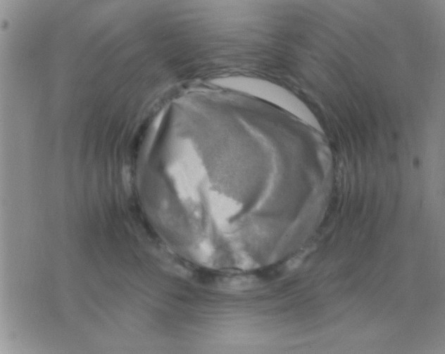 X0000075920716200610151906