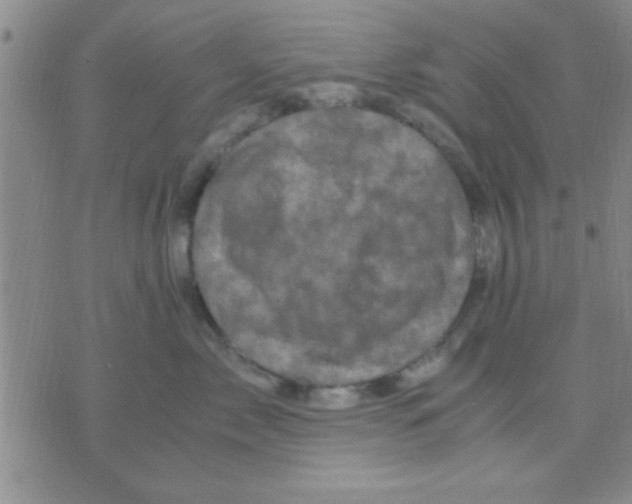 X0000075920717200610151906