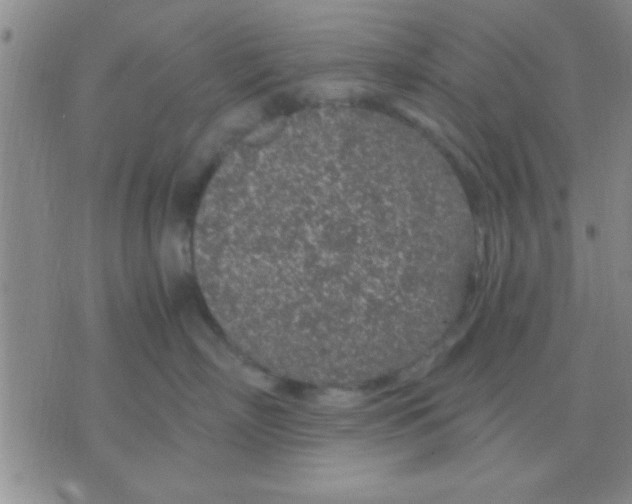 X0000075920718200610151906