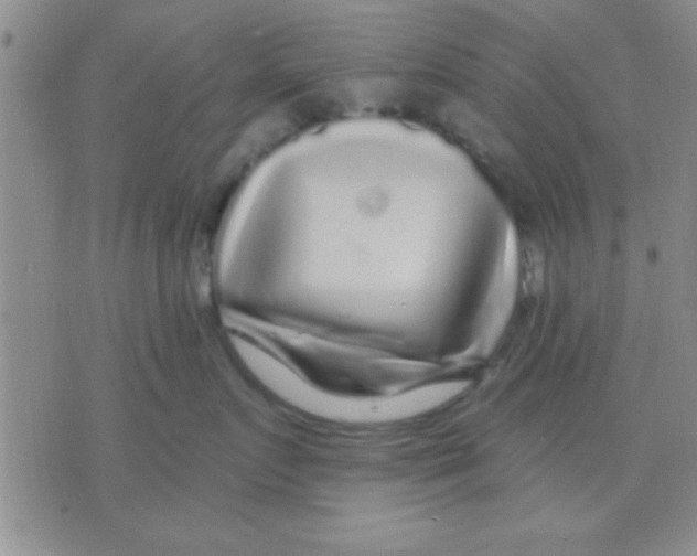 X0000075920719200610151906