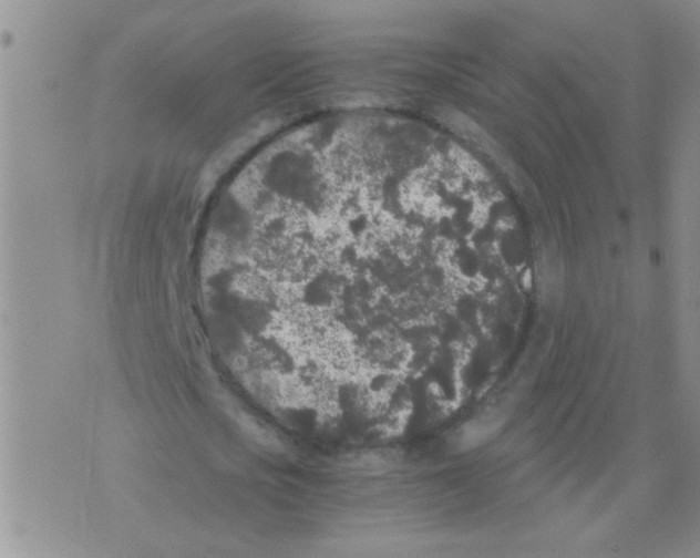 X0000075920721200610151905