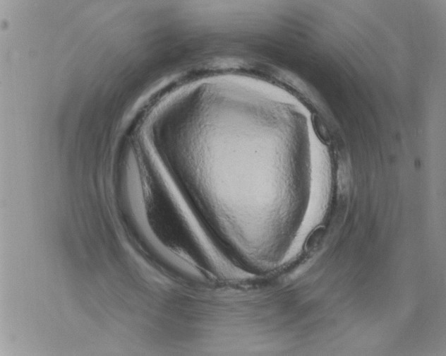 X0000075920722200610151905