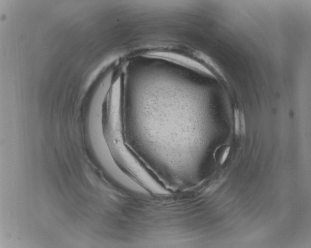 X0000075920723200610151905