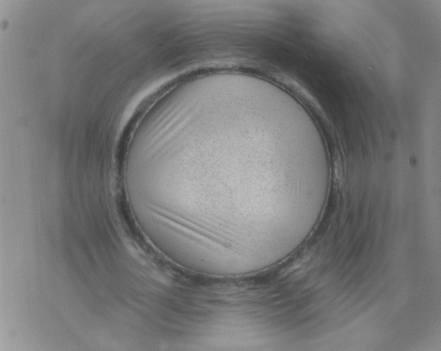 X0000075920724200610151905