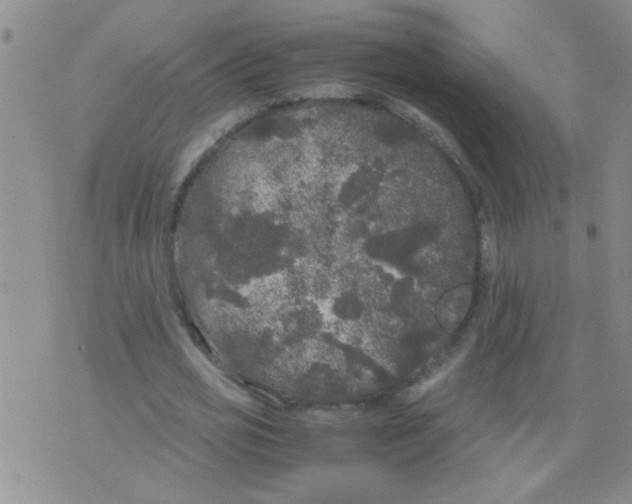 X0000075920725200610151905