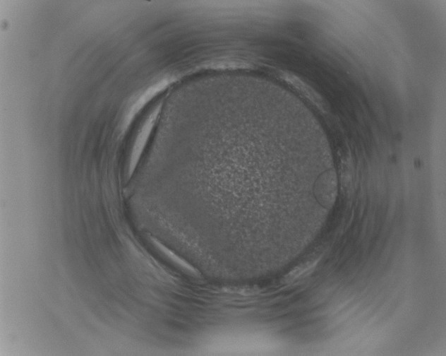 X0000075920727200610151905