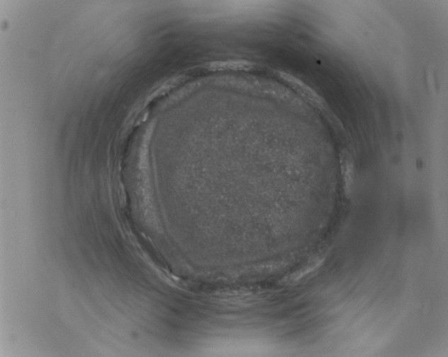 X0000075920729200610151906