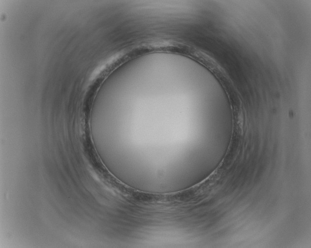 X0000075920732200610151906