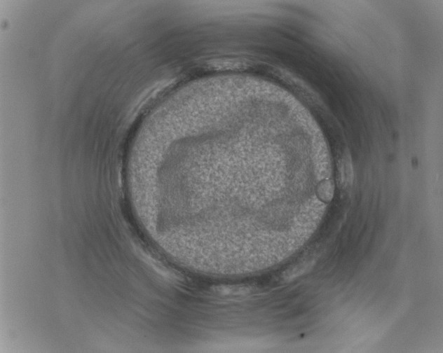 X0000075920733200610151906