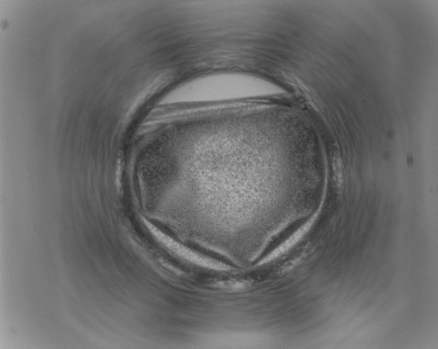 X0000075920735200610151906