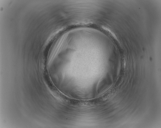 X0000075920736200610151906