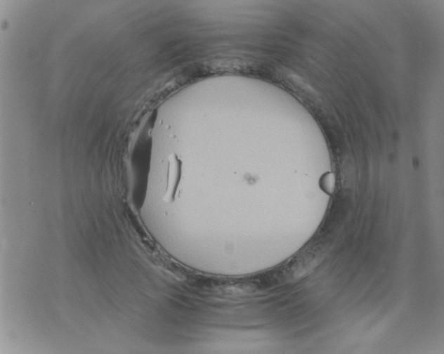 X0000075920737200610151906