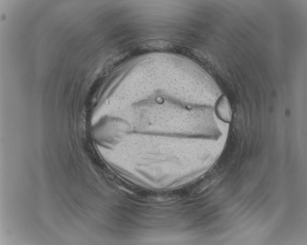 X0000075920739200610151906