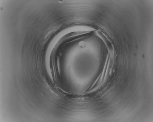 X0000075920740200610151906