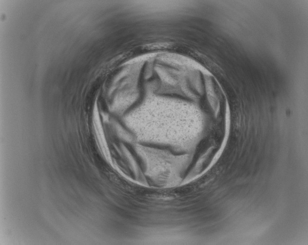 X0000075920743200610151906