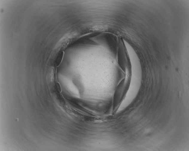 X0000075920744200610151906