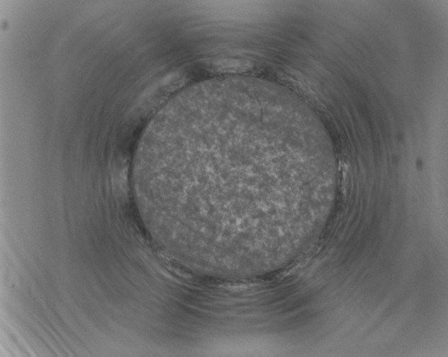 X0000075920745200610151906