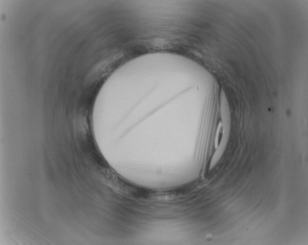 X0000075920746200610151906