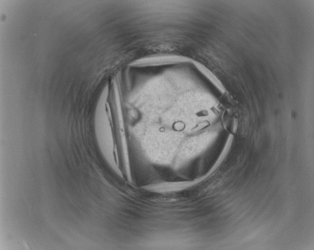 X0000075920747200610151906