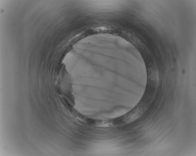 X0000075920754200610151906