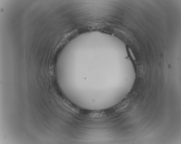 X0000075920756200610151906