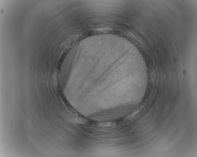 X0000075920757200610151906