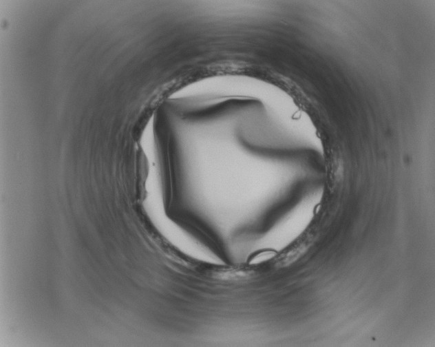 X0000075920759200610151906