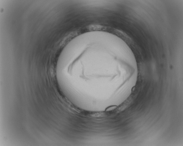 X0000075920761200610151906