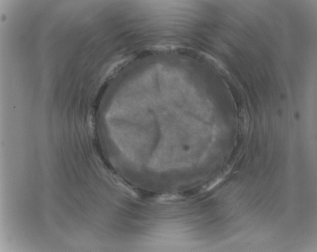 X0000075920762200610151906