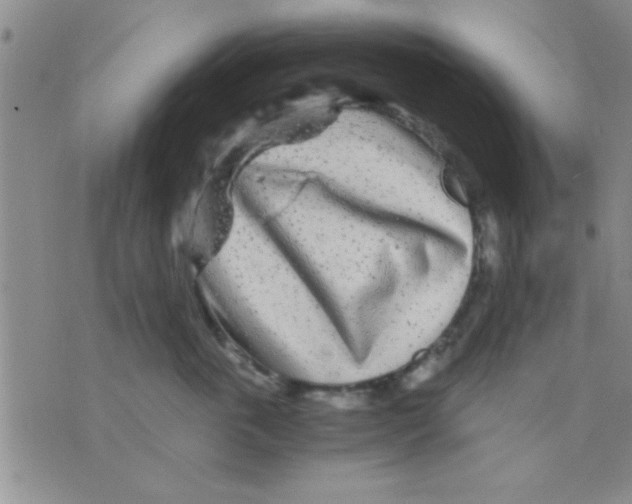 X0000075920763200610151906