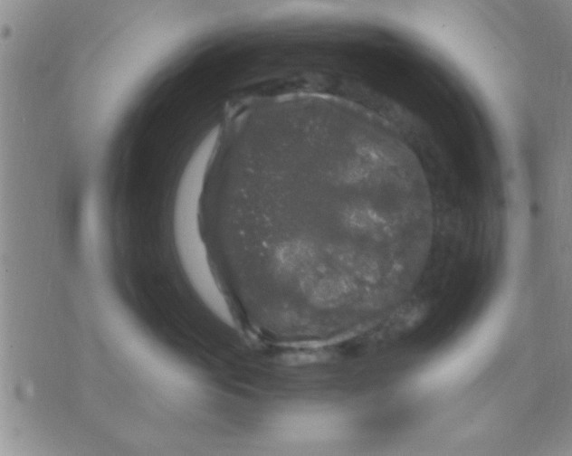 X0000075920765200610151906