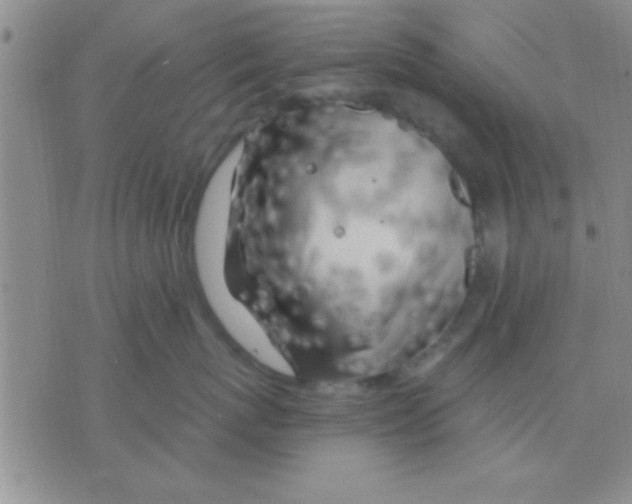 X0000075920767200610151906