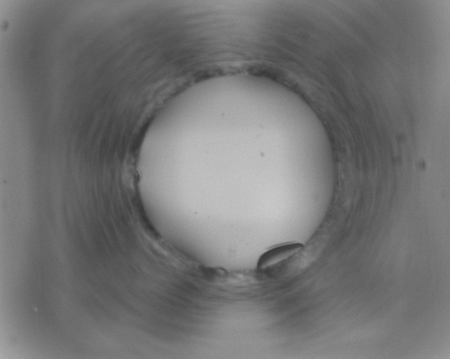 X0000075920768200610151906