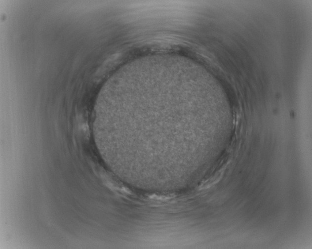 X0000075920771200610151905