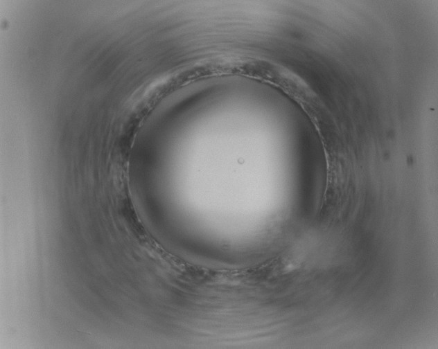 X0000075920773200610151905