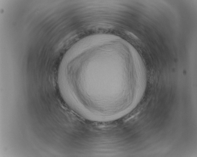 X0000075920774200610151905