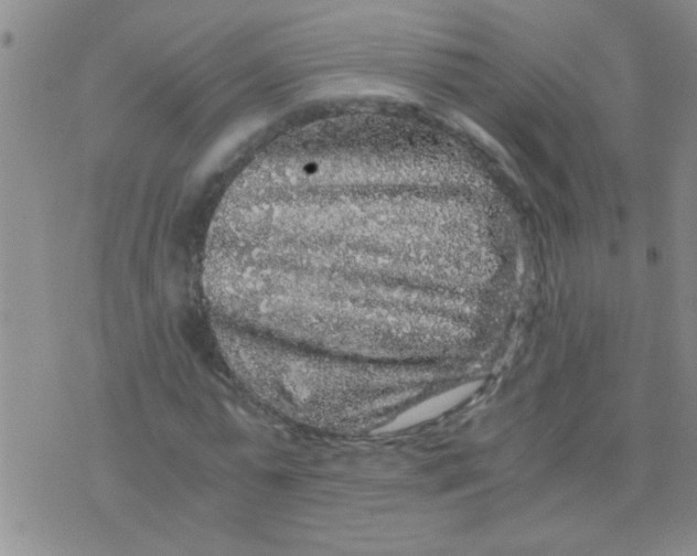 X0000075920775200610151905