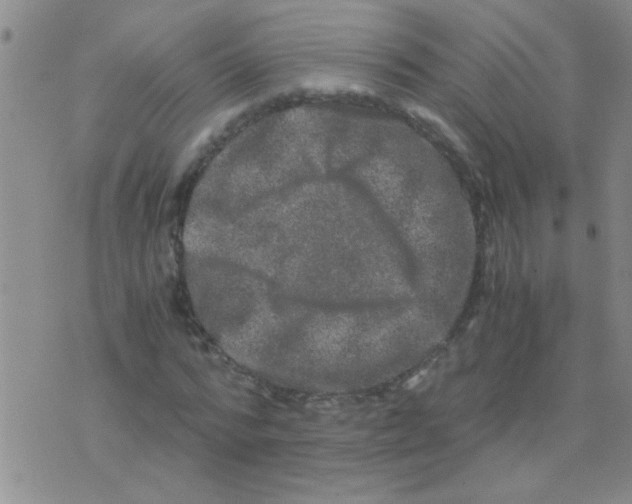 X0000075920776200610151905