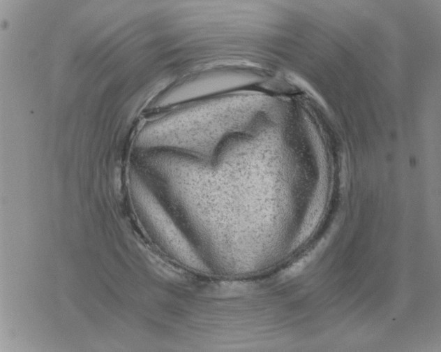 X0000075920777200610151905