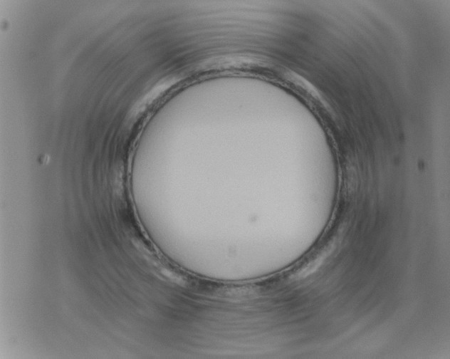 X0000075920778200610151905