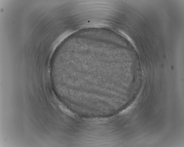 X0000075920779200610151905