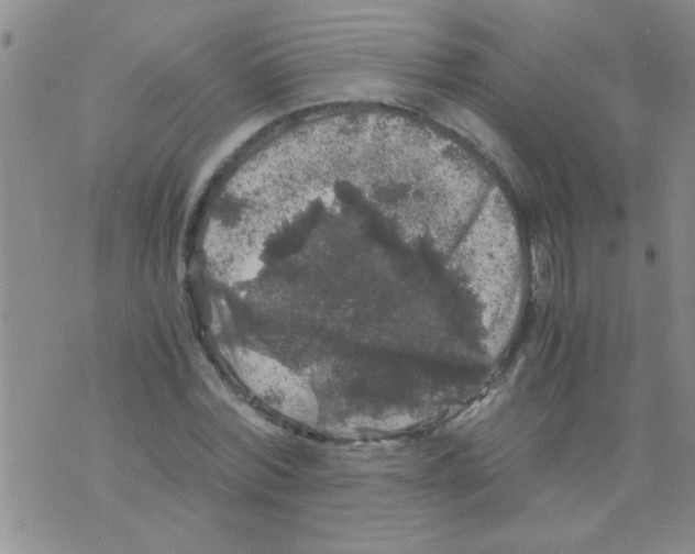 X0000075920780200610151905