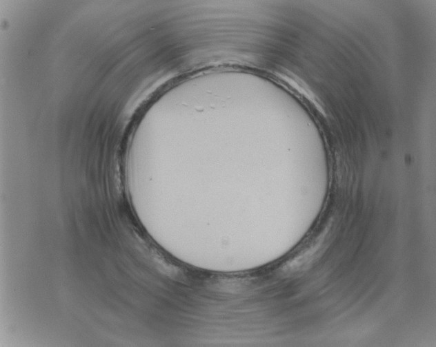 X0000075920782200610151905